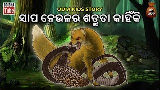 Odia Children Story  ସାପ ନେଉଳର ଶତ୍ରୁତା କାହିଁକି  Entertaining Story For Kids  Odisha Tube [upl. by Tneciv]