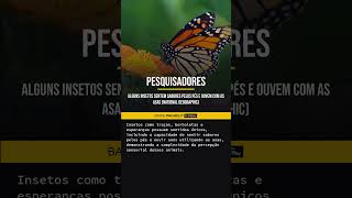 Lago de salmoura no Mar Vermelho uma descoberta científica surpreendentecuriosidades [upl. by Nayarb202]