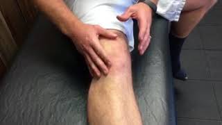 Therapeutic Active Range of Motion Exercise for Knee Pain and Swelling  Pro Physio [upl. by Pippy27]