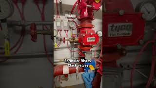 SPRINKLER risers clack valves  plant rooms tools trade DIY [upl. by Mandel733]