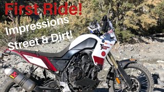 2020 Yamaha Tenere 700 Review  First Ride [upl. by Eran]