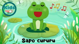 Sapo cururu 🐸 música infantil com letra  kids na tv [upl. by Emmerie582]