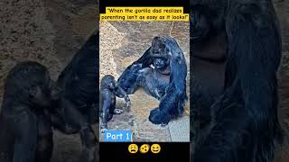 Part 1 quotFather vs Naughty Gorilla Baby – The Jungle Showdown Beginsquot😆🫨😩 whatssofunnyfunnyseries [upl. by Male]