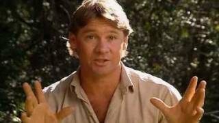 The Crocodile HunterSteves Greatest Crocodile Captures 48 [upl. by Aneger31]