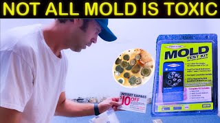 Mold in your house DIY Test kit with results [upl. by Picardi816]