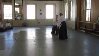 Mary Mary Heiny Sensei on Harmonizing in Aikido [upl. by Gage68]