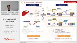 ALTERACIONES PLAQUETARIAS  HEMATOLOGÍA  VILLAMEDIC [upl. by Ambrosine]