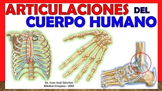 🥇 ARTICULACIONES DEL CUERPO HUMANO EN 17 minutos  Resumen [upl. by Alten]