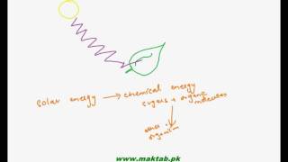 FSc Biology Book1 CH 11 LEC 1 Introduction To Bioenergetics [upl. by Esinereb]