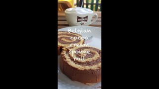 Belgian Cocoa mascarpone cream sponge cake [upl. by Nivlam342]