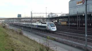 TGV In Altstetten SNCF [upl. by Kathryne]