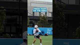 Herbert To Parham At Minicamp [upl. by Walcoff]