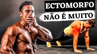 Quantas Flexões Ectomorfo Deve Fazer Em Um Dia para Ganhar Massa Muscular [upl. by Frederick910]