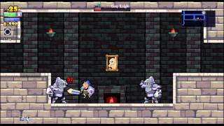 Rogue Legacy  Bölüm 5  � [upl. by Einnod149]