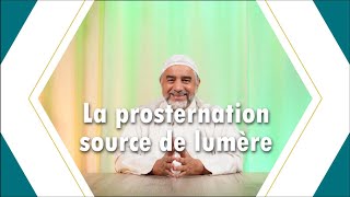 Qu’Imam me suive  la prosternation source de lumière [upl. by Mills]