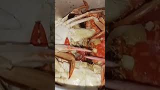 rabyvlog Shortvideo foodtrip seafood province fishing buhayprobinsya highlight gud [upl. by Nongim738]