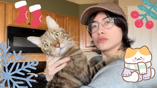 VLOGmas Day 2  Making a vegan chocolate pie 2024 [upl. by Raychel]