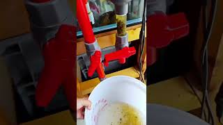 Cleaning Trick and Tips  DIY at Home diy Mr DIY [upl. by Chu]