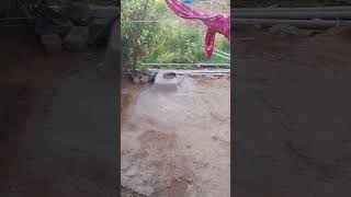 minivlog😍Mere ghari ki subah 🌅🏡😍shortsviralvillagetranding [upl. by Airotciv]