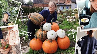 Kürbisse ernten Vögel in den Garten locken Vorräte amp Gartenarbeit  Cozy Herbst Vlog [upl. by Trilby174]