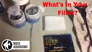 Saltwater Aquarium HOB Filter Explained No Sump No Skimmer [upl. by Gerrald]