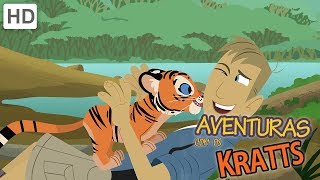 Aventuras com os Kratts  Criaturas da Noite [upl. by Alvina208]