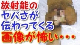 【閲覧注意】 東海村JCO臨界事故 放射能の恐怖 ずさんな管理が招いた悲劇 【衝撃】 [upl. by Leitao909]