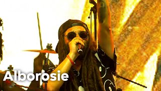 Alborosie  live at Lowlands 2023 [upl. by Ecenaj567]