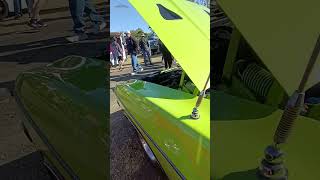 Falcon Fever XR to XB at Willowbanks All Ford Day ford falcon musclecars aussiecars carshow [upl. by Olivette]