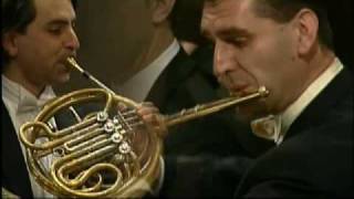 Mahlers 9th symphony Horn solo [upl. by Nasar]