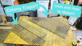 Muskrat Colony Traps  Uses and Making  In The Fur Shed [upl. by Orban]