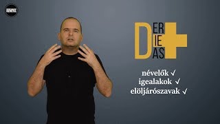 DerDieDas  Így is tanulhatod nálunk a névelőket igealakokat és elöljárószavakat [upl. by Laurence553]