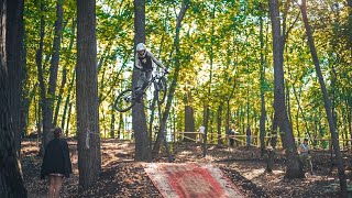 forest  mtb edit [upl. by Maggio201]