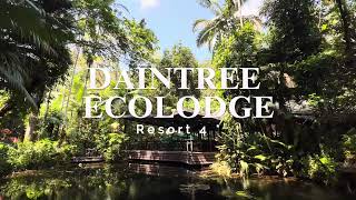 DAINTREE ECOLODGE [upl. by Ahsercal]