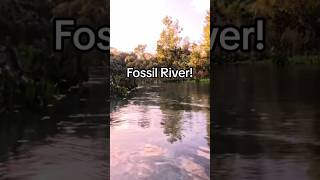 Fossil River [upl. by Fiden]