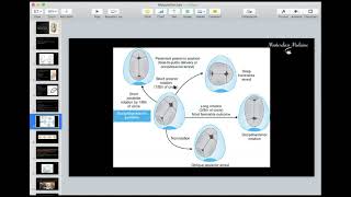 Malposition  Malpresentation 1  OB course  Masterclass Medicine [upl. by Cand224]