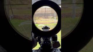 Suppressed AR Eotech Vudu 18x  POV [upl. by Oremodlab654]