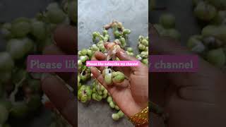 Camachile fruit seema chinthaa kaya indiyan fruit🫶🫶 [upl. by Eidnac]