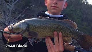 Yellowbelly fishing at Glenlyon dam [upl. by Bria439]