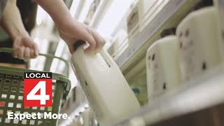 Consumer Reports investigates forever chemicals found in some milk [upl. by Novej183]