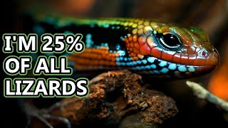 Skink facts Diverse Lizards  Animal Fact Files [upl. by Ecyarg12]