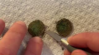 ASMR Separating two Roman coins stuck together for 1700 years [upl. by Nieberg]