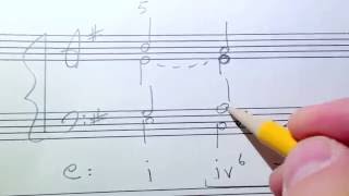 Phrygian Cadences Music Theory Discussion [upl. by Hayott]