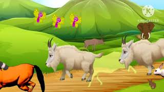 bakridBandarghoda Sher Chita animal cartoons New video animal 🦅🦕🦣😻 [upl. by Argella]