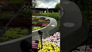 Singapore Flower Dome travelvlog  shortvideo shortfeeds tourism viralshortsuniversalstudios [upl. by Weight]