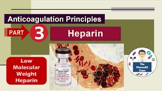 Heparin Anticoagulation Principles  Part 3 Low Molecular Weight Heparin [upl. by Drona]