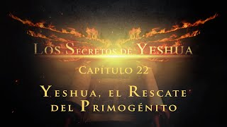 Los secretos de Yeshua CAP22 Yeshua El rescate del Primogénito [upl. by Ahsirtal]