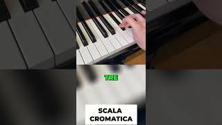 Scala Cromatica Impara al pianoforte in 1 minuto [upl. by Ynittirb932]