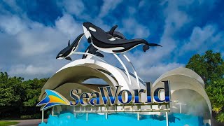 VLOG2 ORLANDO P4 SEAWORLD [upl. by Earezed]