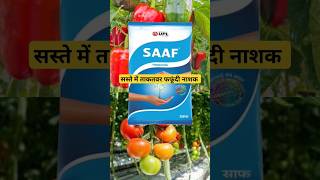 saaf fungicide  carbendazim 12  mencozeb drpunitshishodia [upl. by Eninej94]